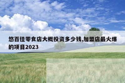 悠百佳零食店大概投资多少钱,加盟店最火爆的项目2023